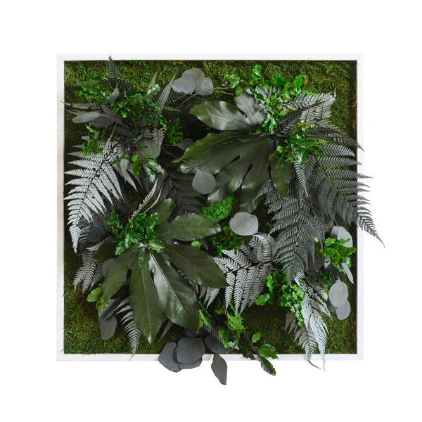 plant pictures with jungle design 55x55cm solid wood frame (white)