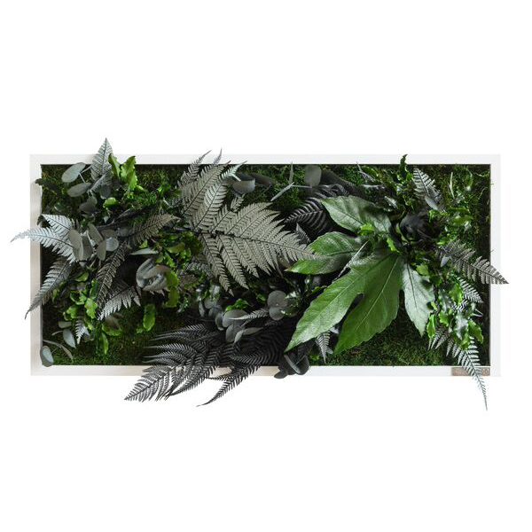 plant pictures with jungle design 57x27cm solid wood frame (white)