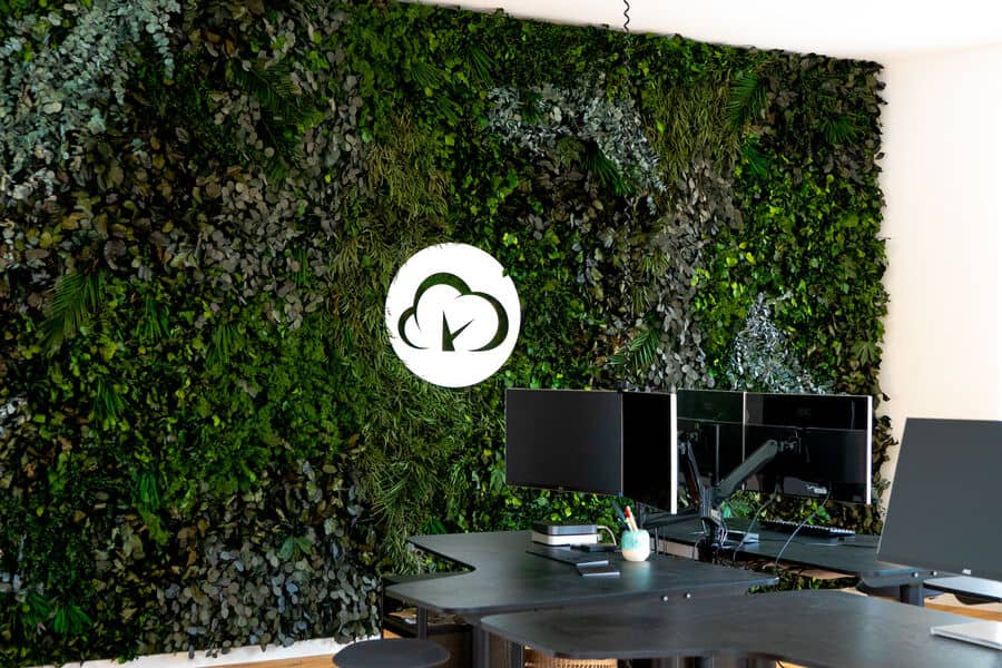 Dschungelwand von styleGREEN im Büro eines Kunden