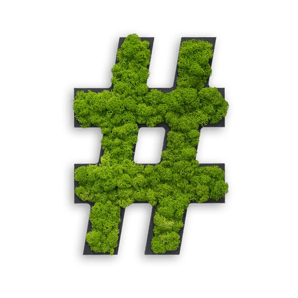 Pictogram: Special symbol "hashtag" Reindeer moss