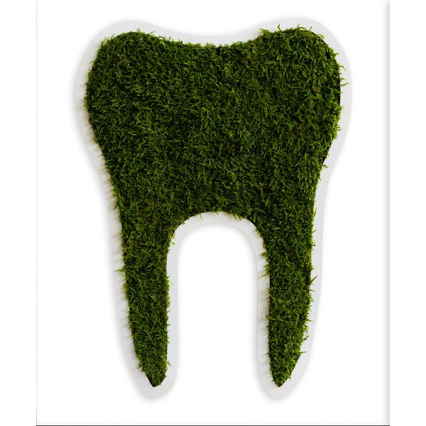 Pictogram: Tooth large forest moss (50 cm)