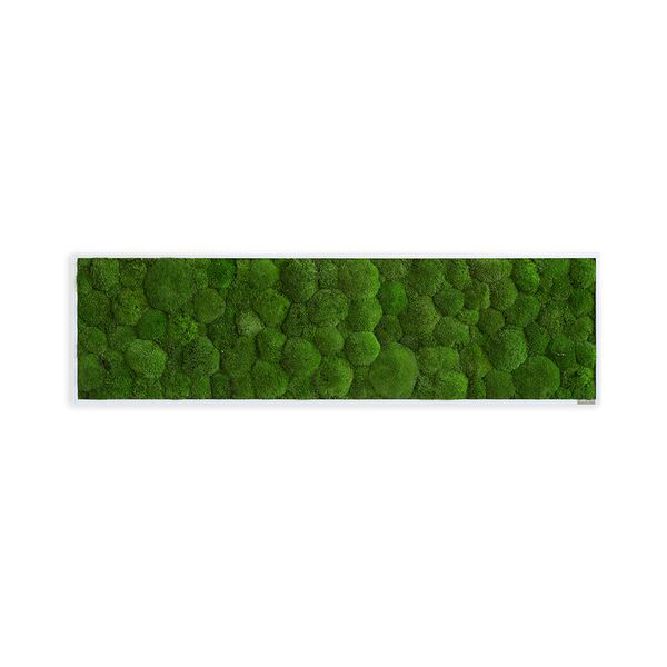 Moss picture: Pole moss picture 140x40