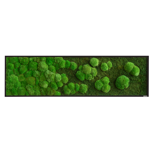 Moss picture merge: Pole and forest moss picture merge 140x40 solid wood frame (black) without screw-set