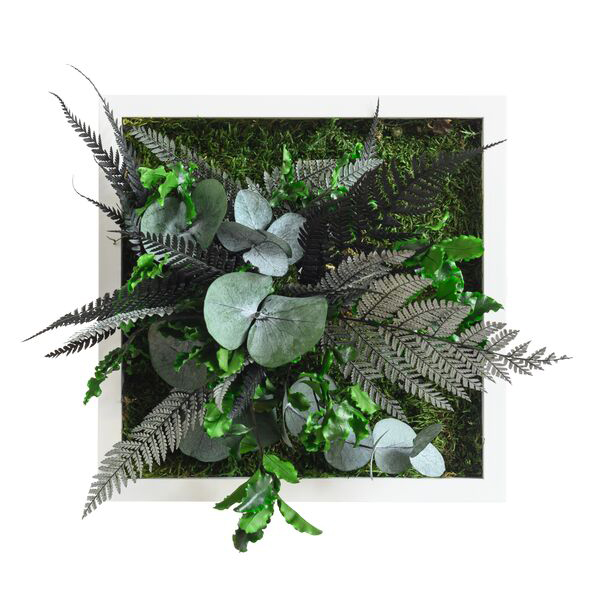 plant pictures with jungle design 22x22cm solid wood frame (white)