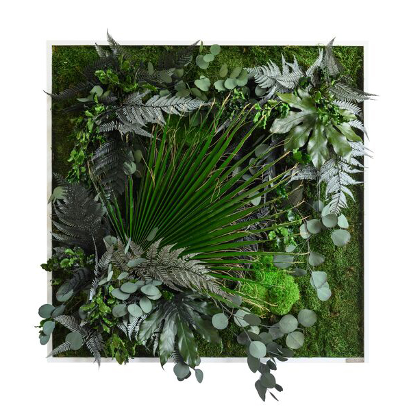 plant pictures with jungle design 80x80cm solid wood frame (white)