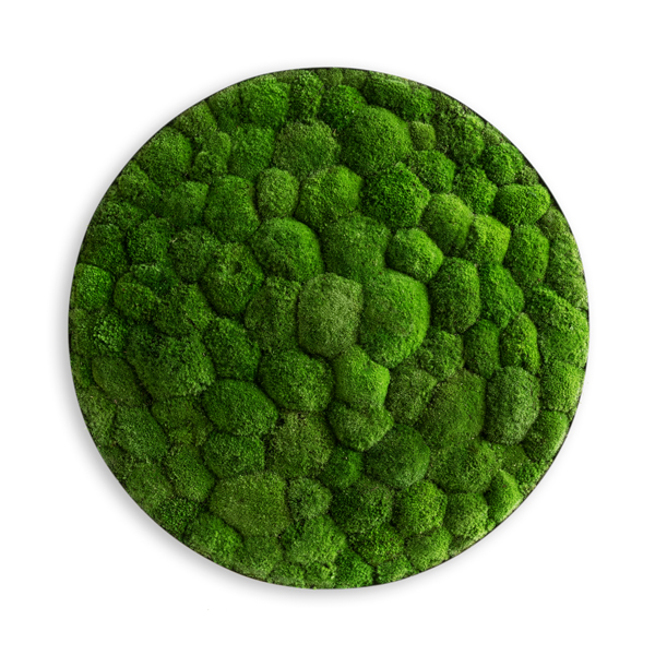 Moss picture: Pole moss-ellipsoid 80cm