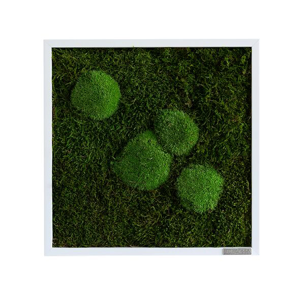 Moss picture: Pole and forest moss picture 35x35