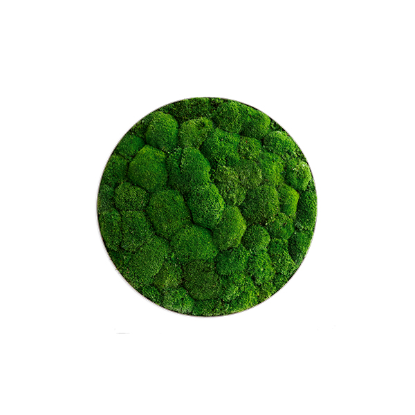 Moss picture: Pole moss-ellipsoid 54cm