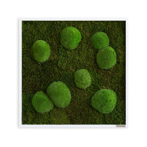 Moss picture: Pole and forest moss picture 55x55