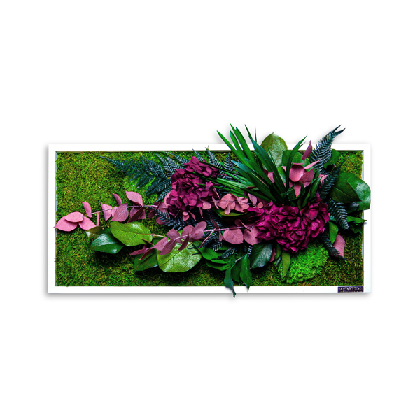 plant pictures with jungle design in red 57x27cm solid wood frame (white)