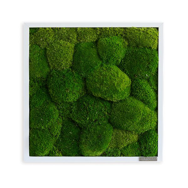 Moss picture: Pole moss picture 35x35